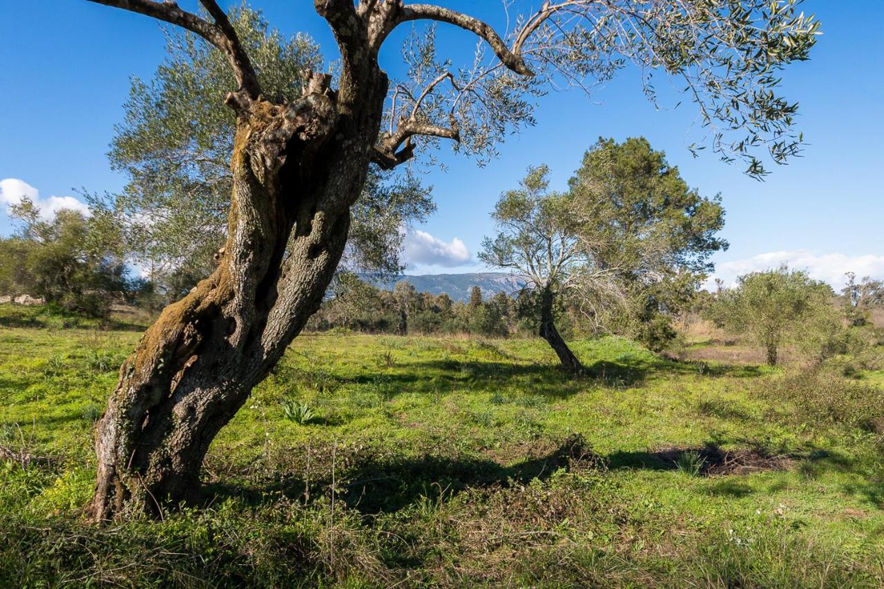 Merlyn Rooms Into The Nature, 100M From The Beach Dafnila Екстер'єр фото